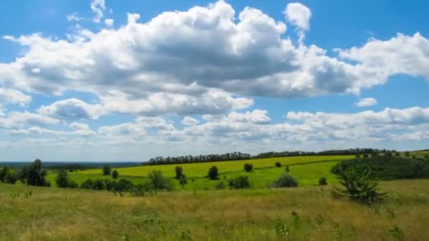 Manzara, bulutlar ağaçlar ile bir alanın üzerinde hareket. — Stok video