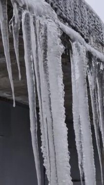 Eriyen su sürekli aşağı akarken büyük donmuş buz sarkıtları beton bir çatı kenarından sarkıyor. Değişen mevsimler, dondurucu kış sıcaklıkları ve doğal erime süreçleri kavramı.