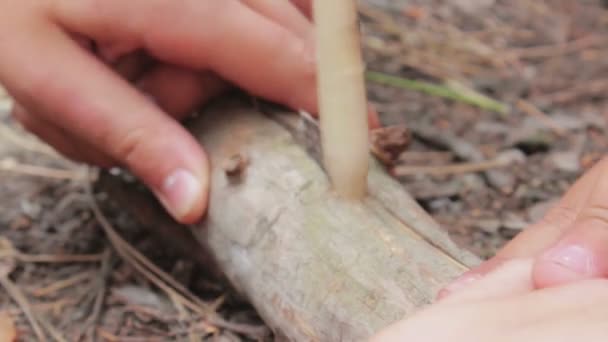 Man in the forest obtains fire by rubbing sticks. — Stock Video