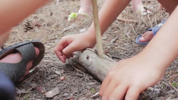 Man i skogen gör eld genom att gnugga pinnar. — Stockvideo