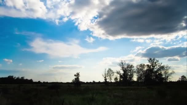 Paisagem, nuvens movendo-se sobre um campo com árvores . — Vídeo de Stock