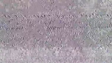 TV sinyal yok. Beyaz Noize