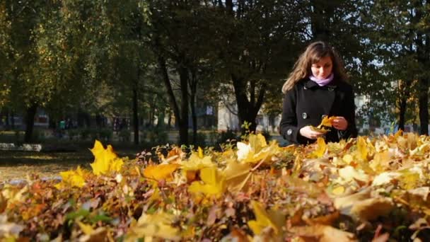 Щаслива дівчина гуляє в осінньому парку і збирає жовте опале листя . — стокове відео