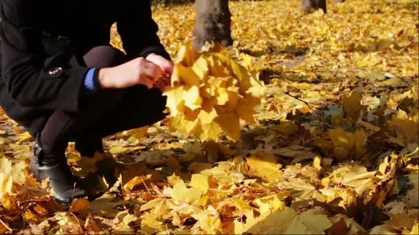 Glückliches Mädchen im Herbstpark wirft gelbes Laub. — Stockvideo