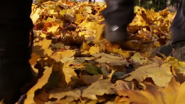 Man en meisje wandelen in het herfst bos. — Stockvideo