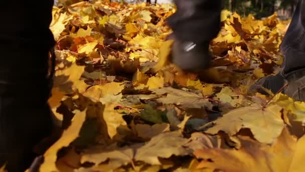 Man och flicka som går i höst skogen. — Stockvideo