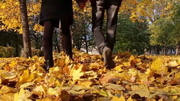 Jeune homme et jeune fille marchant dans le parc d'automne se tenant la main .