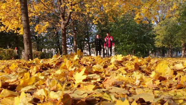 Jovem e menina andando no parque de outono de mãos dadas . — Vídeo de Stock