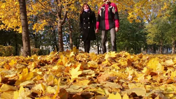 Jongeman en meisje wandelen in het herfstpark hand in hand. — Stockvideo