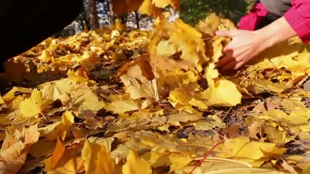 La niña y un hombre tiran las hojas amarillas caídas en el bosque . — Vídeos de Stock