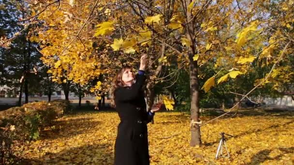 A girl throws yellow leaves from the tree branches of trees in autumn park. — Stock Video