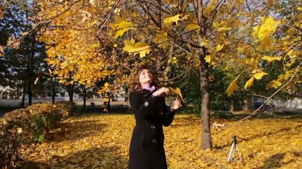 Uma menina joga folhas amarelas dos galhos de árvores no parque de outono . — Vídeo de Stock