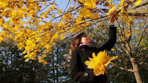 Een meisje gooit gele bladeren van de takken van bomen in de herfst park. — Stockvideo