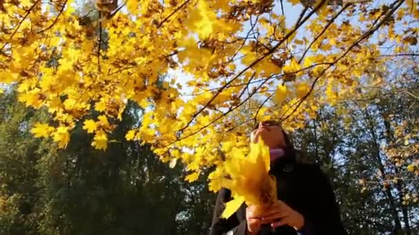 Дівчина кидає жовте листя з гілок дерев в осінньому парку . — стокове відео