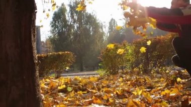Bir adam sonbahar parkında ağaçların ağaç dallarından sarı yapraklar atar..