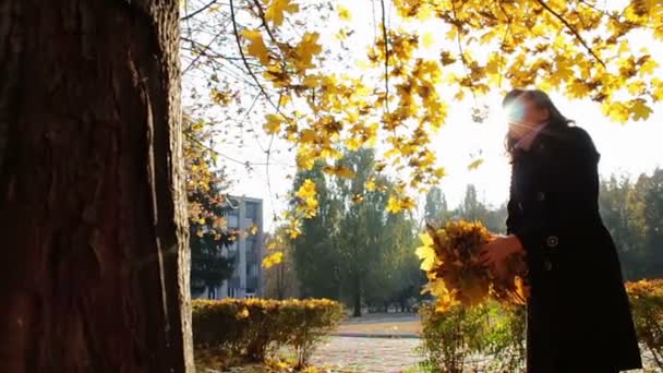 Una niña arroja hojas amarillas de las ramas de los árboles en el parque de otoño . — Vídeo de stock