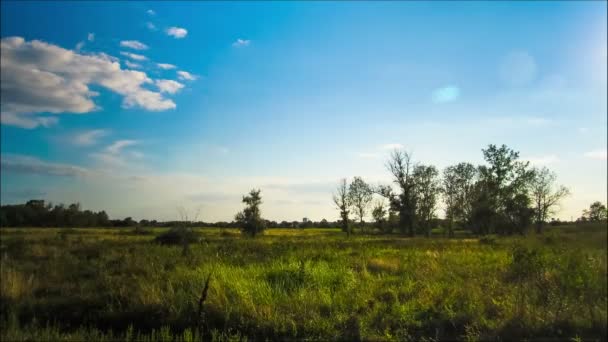 Paysage, nuages se déplaçant sur un champ avec des arbres . — Video