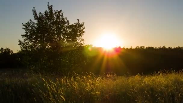 Günbatımı ağaçların arasından bulutlar üzerinde. — Stok video