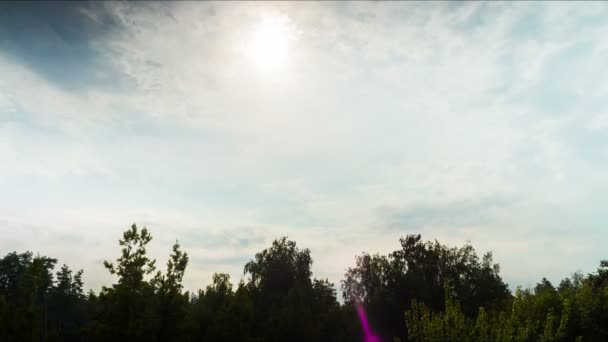 Nubes en el cielo moviéndose por encima de los árboles . — Vídeos de Stock