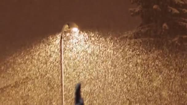 Nevando à noite no fundo de um poste de luz . — Vídeo de Stock