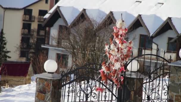 Senaste åren torkade julgran hängande på staketet nära huset. — Stockvideo