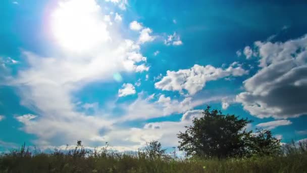 Landschaft, Wolken ziehen über ein Feld mit Bäumen. — Stockvideo