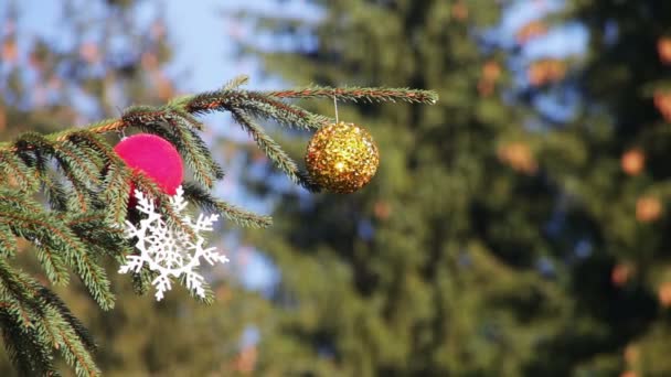 Gedecoreerde kerstboom op straat. — Stockvideo