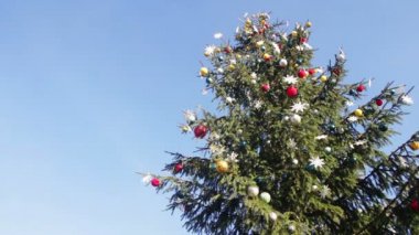 Arka plan mavi gökyüzü Noel ağacına dekore edilmiş.