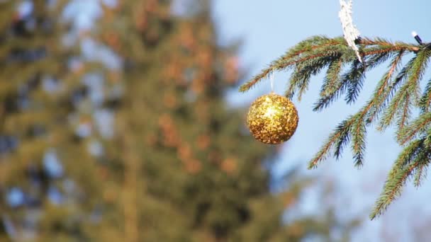 装饰圣诞树上背景蓝色天空. — 图库视频影像