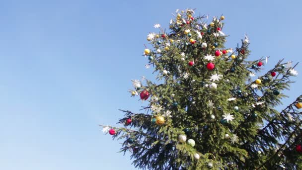 Ingericht kerstboom op achtergrond blauwe hemel. — Stockvideo