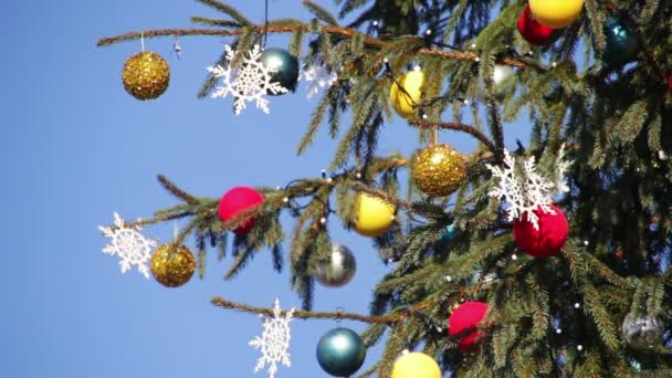 Vyzdobený vánoční strom na pozadí modré oblohy.
