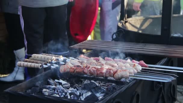 Shish kebab est préparé sur la grille du gril . — Video