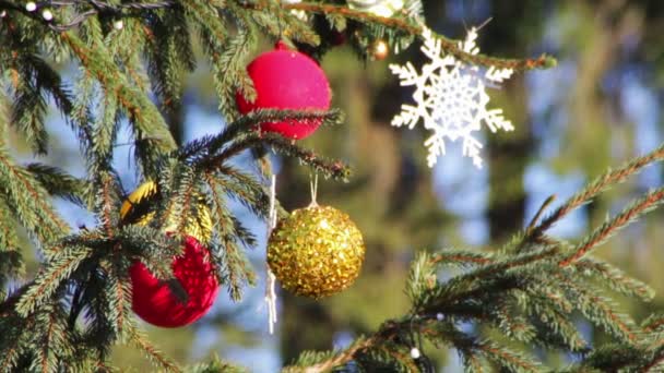 Geschmückter Weihnachtsbaum auf der Straße. — Stockvideo
