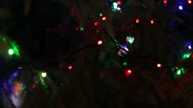 Işıklar, geceleri oyuncaklarla süslenmiş Noel ağacı.