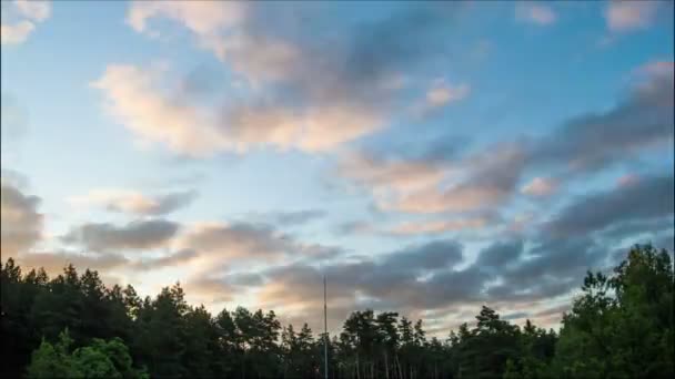 Amanecer, Nubes en un cielo moviéndose por encima de los árboles — Vídeos de Stock