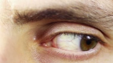 Göz göz küresi dönüşü.