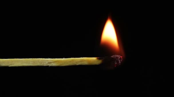 Burning Match och flamma — Stockvideo