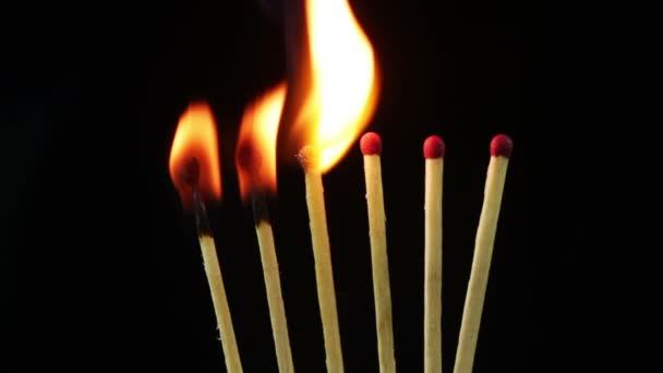 Burning matches, Chain Reaction and Flame — Stock Video