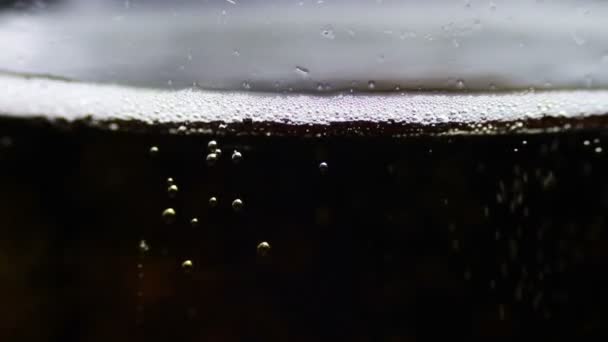 La birra viene versata in un bicchiere — Video Stock