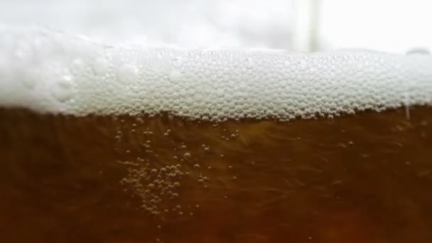 La birra viene versata in un bicchiere 9 — Video Stock