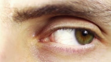 İnsan gözünün görme