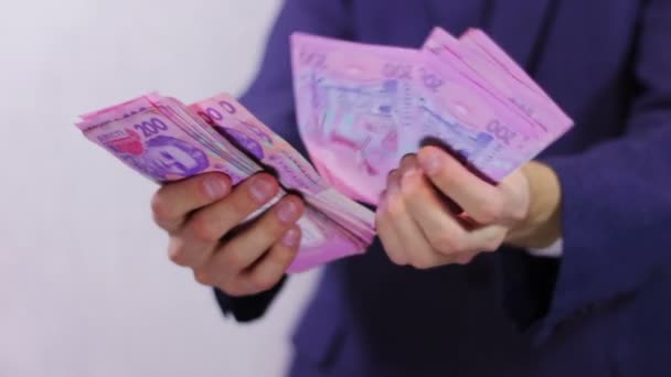 Бухгалтер рахує гроші — стокове відео