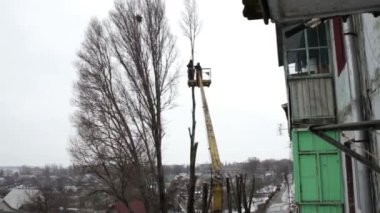Elektrikli testere kesim şehrin ağaç