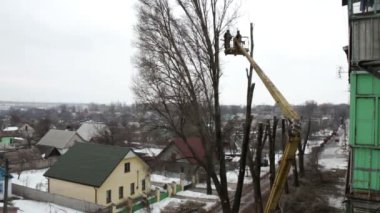 Elektrikli testere kesim şehrin ağaç