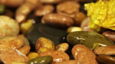 Deniz taşları ve deniz kabuklarını döndürmek