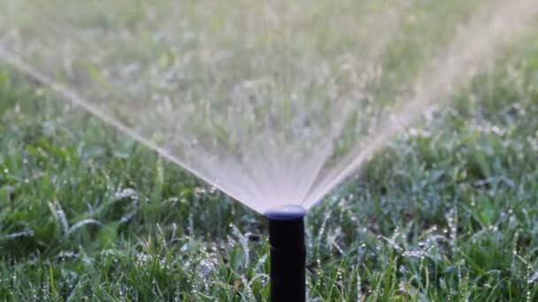 Полив газона - автоматическая система полива — стоковое видео