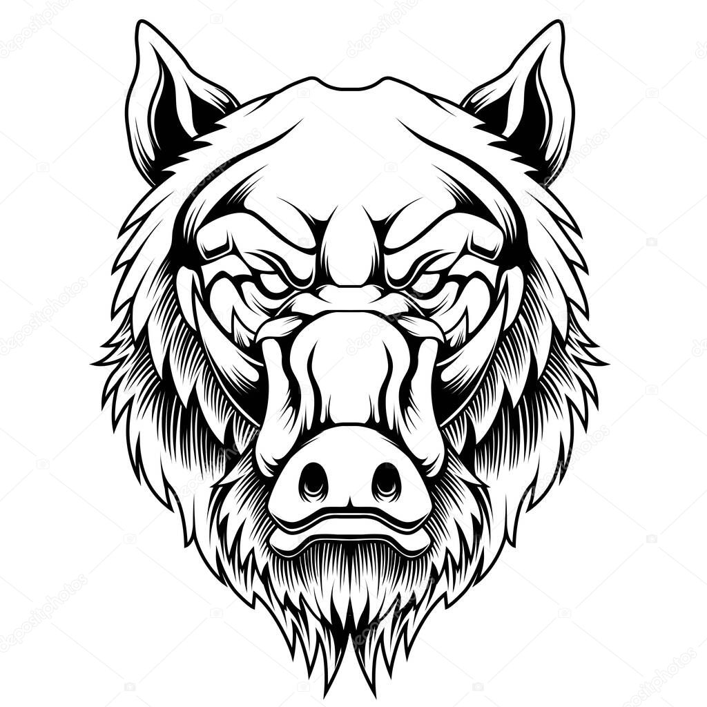 Boar head in black and white color style. Vector Illustration