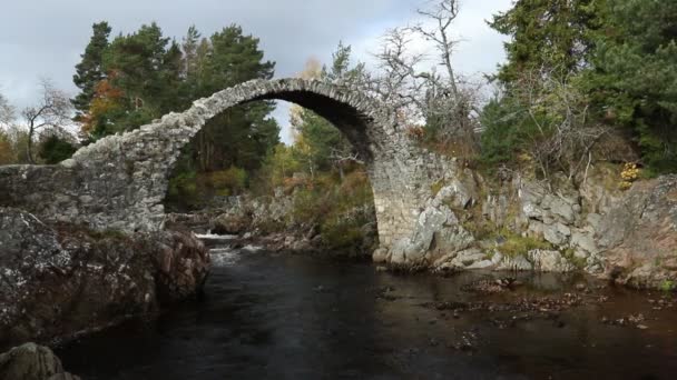Fabulosa Ponte Velha Packhorse Carrbridge Parque Nacional Cairngorms Mais Antiga — Vídeo de Stock