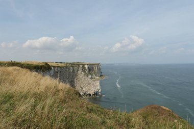 İngiltere, Yorkshire 'daki Bempton uçurumlarının manzarası, binlerce deniz kuşunun kayalıklarda ürediği yer..