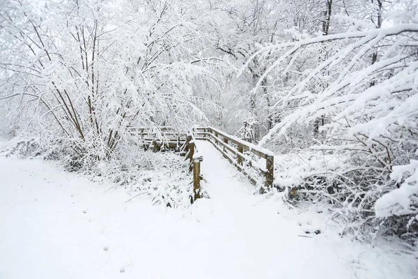 Balls Wood Hertford Heath Ngiltere Karla Kaplı Bir Köprünün Etrafını — Stok fotoğraf